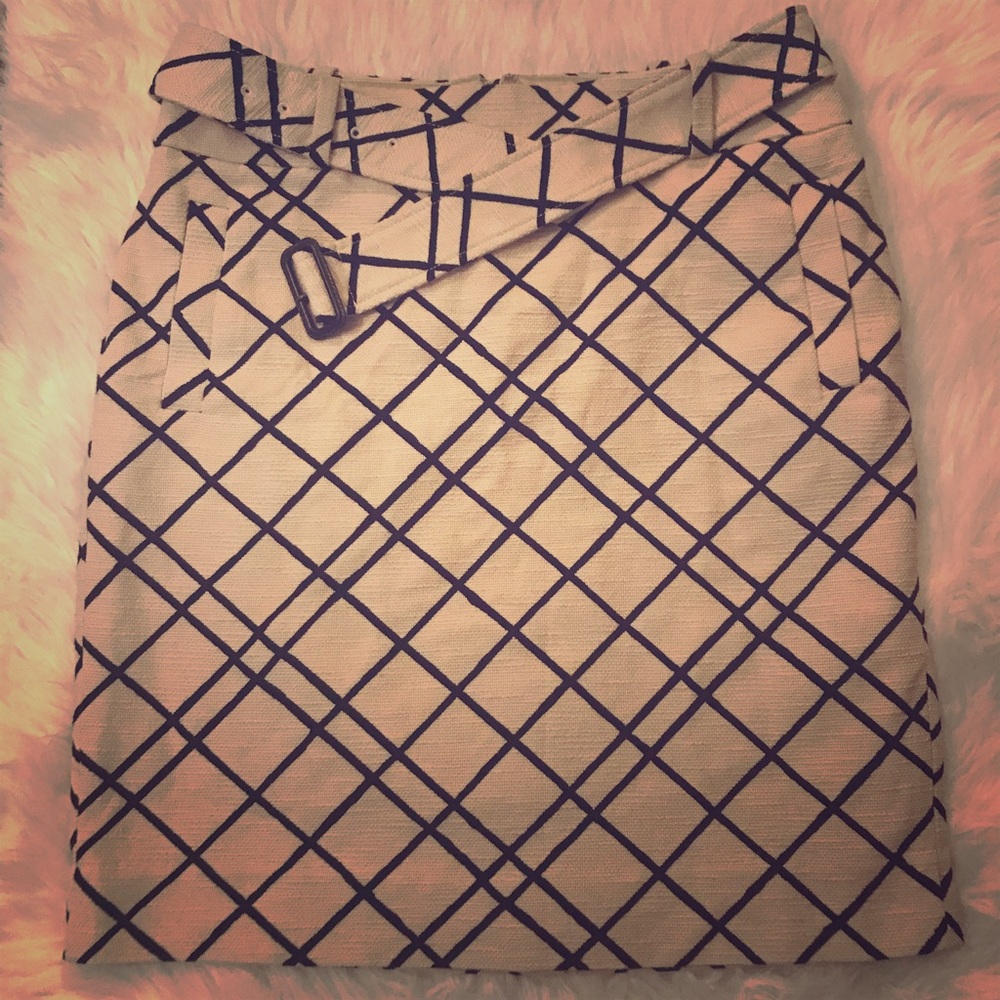 Banana Republic skirt